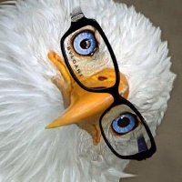 ARTEFACTA (@birdofprey4444) 's Twitter Profile Photo ARTEFACTA (@birdofprey4444) 's Twitter Profile Photo