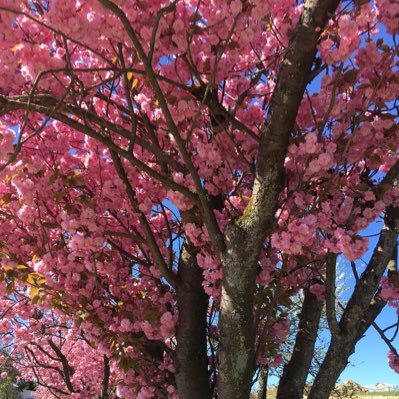 TinaMB50605028's profile picture. 