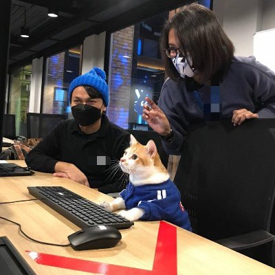 GatooDev's profile picture. 