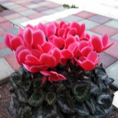 ときめきを大切にしたい女性 です。ぎっくり腰になりやすい弱点あり、病院でも整骨院でもなく、ホットヨガに通い、再発を予防しています。ときめきに出会えるドラマ好きです。