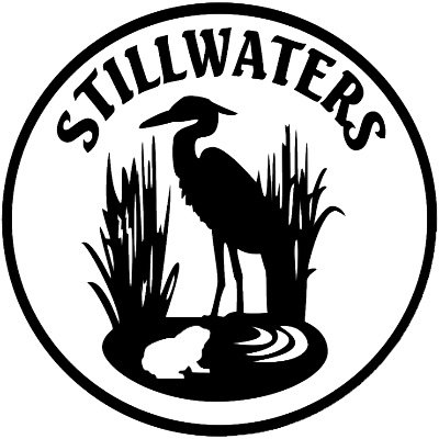 Stillwaters advances scientific research, education and restoration on Puget Sound lowland streams. Please support our work!