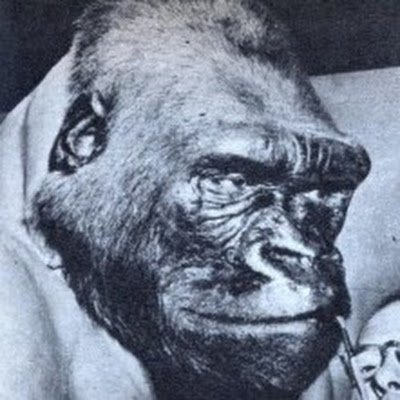 DouglasLucchet1's profile picture. 