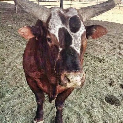 MattDav62569270's profile picture. 