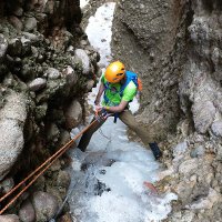 Mitchell Greenhalgh (@mggreenhalgh) 's Twitter Profile