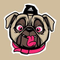 NFT-PUG 🐶 (@tacothepugnft) 's Twitter Profile