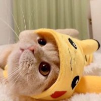 Rendy (@riizayoii) 's Twitter Profile