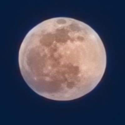 E66228408's profile picture. 