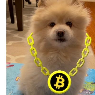 Fluffy Pomeranian with a crypto itch. My motto: “Compound like a hound”