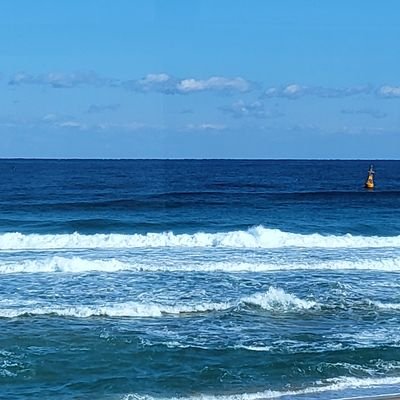 dotttt_dot01's profile picture. 대학생 개발자