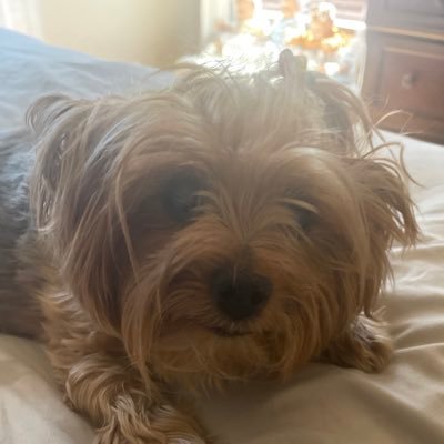 gzatsalerno's profile picture. 