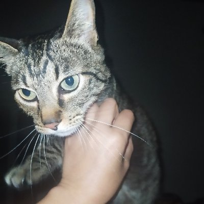 caleja977's profile picture. 