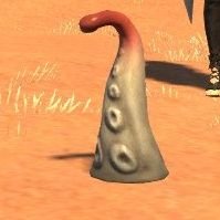 쏘몰의 그림올리는 계정 (@draw_raya) 's Twitter Profile Photo