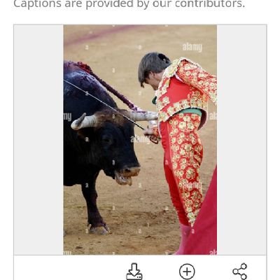 EdizaMthox's profile picture. THE EARLY WORM GETS CAUGHT..