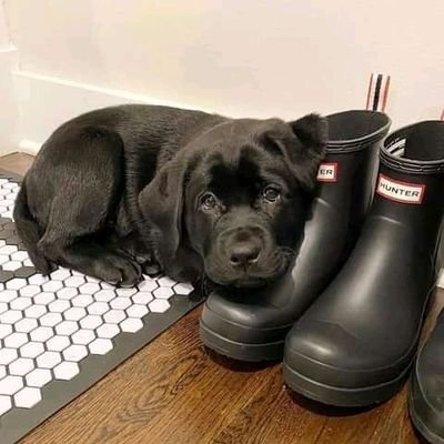 Dominiq64208786's profile picture. Bah tout d'abord je suis une personne très dynamique, simple je ne suis pas du tout compliqué je suis beaucoup respectueux, sincère, honnête