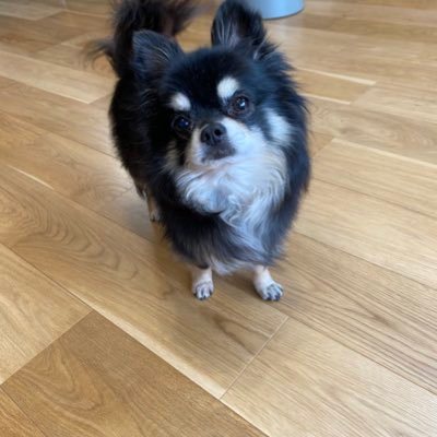 h7WiAxyYquqijXf's profile picture. 