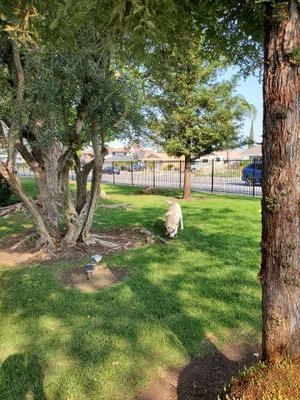 SMART423413's profile picture. 