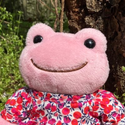 yuuzuki_5723's profile picture. ただの主婦。アイコンは #かえるのピクルス『ももたん』 趣味あれこれ #編み物 #刺繍 #postcrossing #数独 チョコレート好き🍫