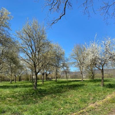 HerrPaulLaner's profile picture. Kritisch-Konstruktiv. Aus der Mitte Deutschlands.