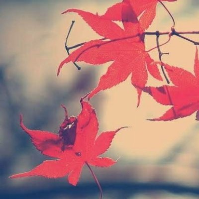 deztha6's profile picture. Never mind, I'll find someone like you
I wish nothing but the best for you.