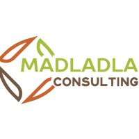 Madladla Consulting & Projects(@MadladlaConsult) 's Twitter Profile Photo