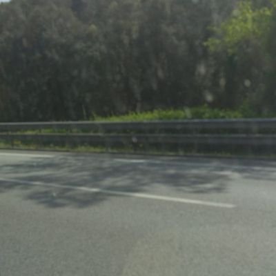 gtmafk's profile picture. 