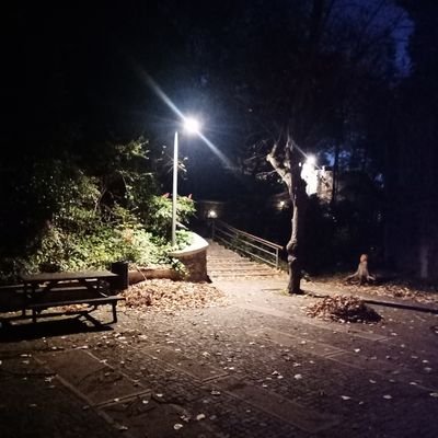 tumerkandede1's profile picture. 