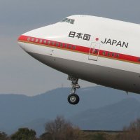 波平 (@l452re484q) 's Twitter Profile Photo