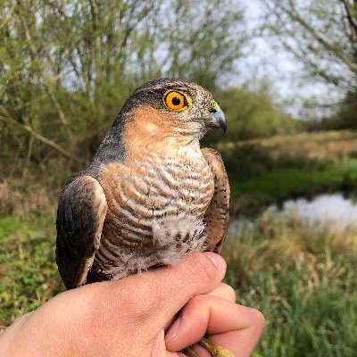 Ringing group operating in and around Oxford