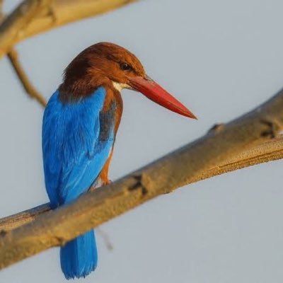 KK47MH's profile picture. Maharashtra Desha !!