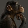 MrTee21633689's profile picture. Trying hard in a few certain fields... small steps to big success.