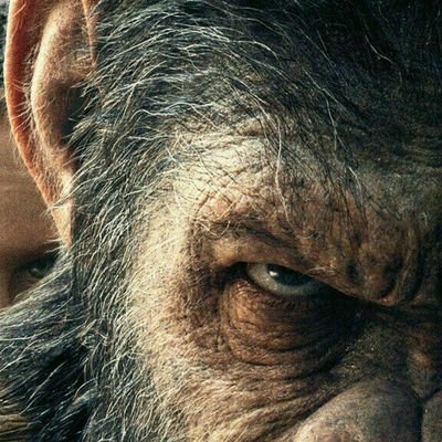 CorpBelfort's profile picture. Investment ops, opinions personal