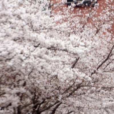 sukmin39419's profile picture. 자유롭게 전하고 싶다!!