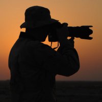 My Own View BCN (@myownviewbcn) 's Twitter Profile