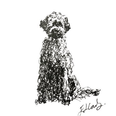 My doodles of Labradoodles and related breeds ✍️🐕🦺🐾 (and others too), starring Layla our Australian Labradoodle.
#doodlesofdoodles
Doodles by @emcow