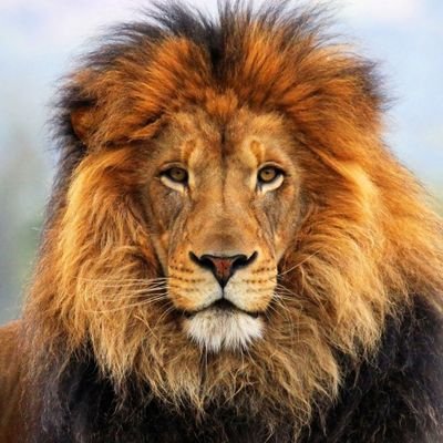 Gianne8822's profile picture. 