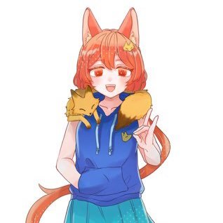 狐遊 めぷ🦊🍯🦊さんのプロフィール画像