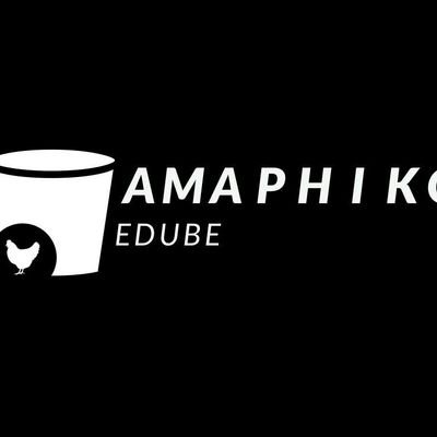 Amaphiko eDube is a fast food outlet offering deep fried chicken wings, both mild and spicy.