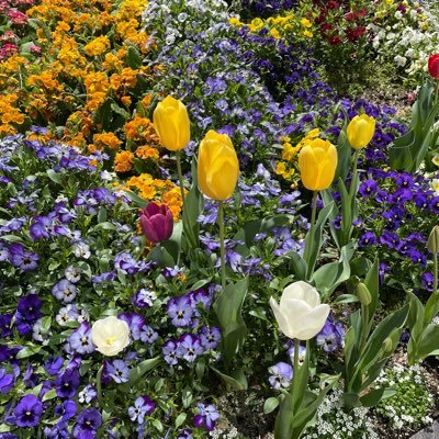 ha43925831's profile picture. 20↑/取引使用