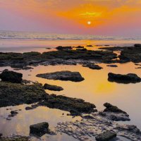 𝙋𝙪𝙧𝙥𝙡𝙚 (@8an___) 's Twitter Profile Photo