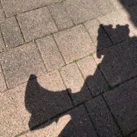 mokoa (@mokoa10) 's Twitter Profile