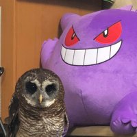 はなぴぃ (@tt5587) 's Twitter Profile