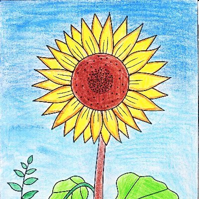 RainbowProjec18's profile picture. every NFT created is unique and different