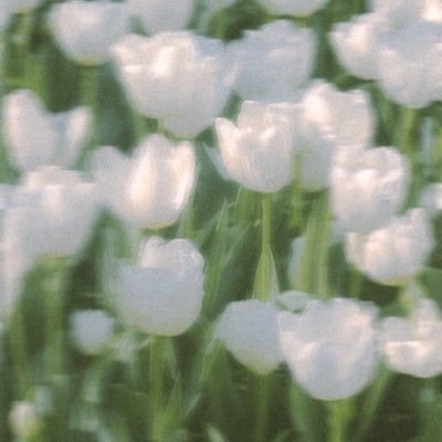 seasonofsami's profile picture. 𝐬𝐞𝐚𝐬𝐨𝐧 𝐨𝐟 𝐬𝐚𝐦𝐢