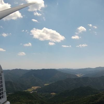 nan341711's profile picture. 