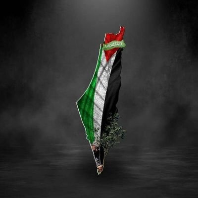 PALESTINE UPDATE Profile