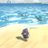 めうめう谷のきょんきょんのアイコン