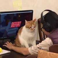 earthworm (@sorago_) 's Twitter Profile