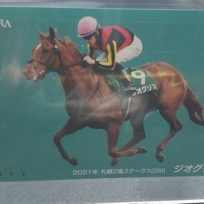 競馬中心
競馬2021.5～の初心者🔰