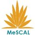 MeSCAL Project (@MescalProyect) Twitter profile photo