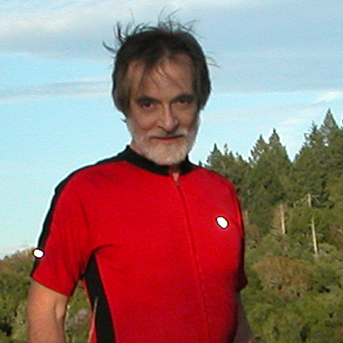 Ray Botelho